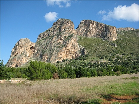 cau lô