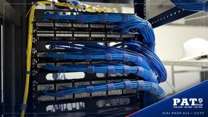 Patch panel mạng đi cáp xanh bó gọn bằng dây dán velcro, cáp quang vàng đi riêng bên trái tủ rack
